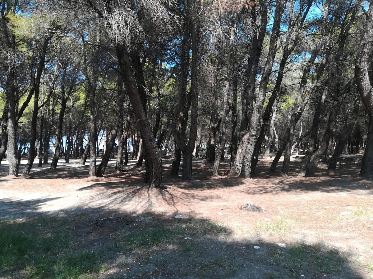 Parque de Campismo Blu Park Camping